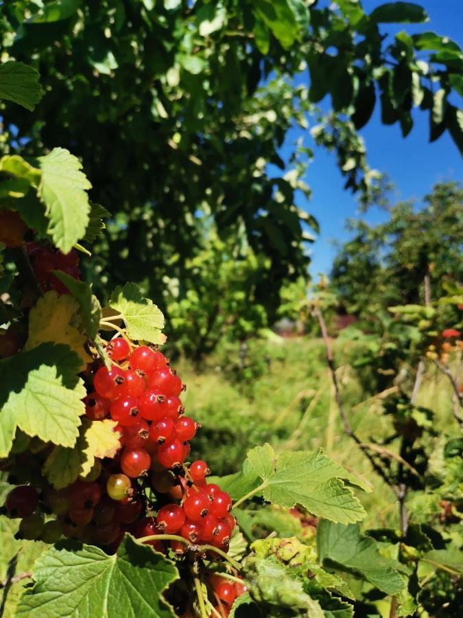 Stanica Przygody Villa Sztutowo Dış mekan fotoğraf