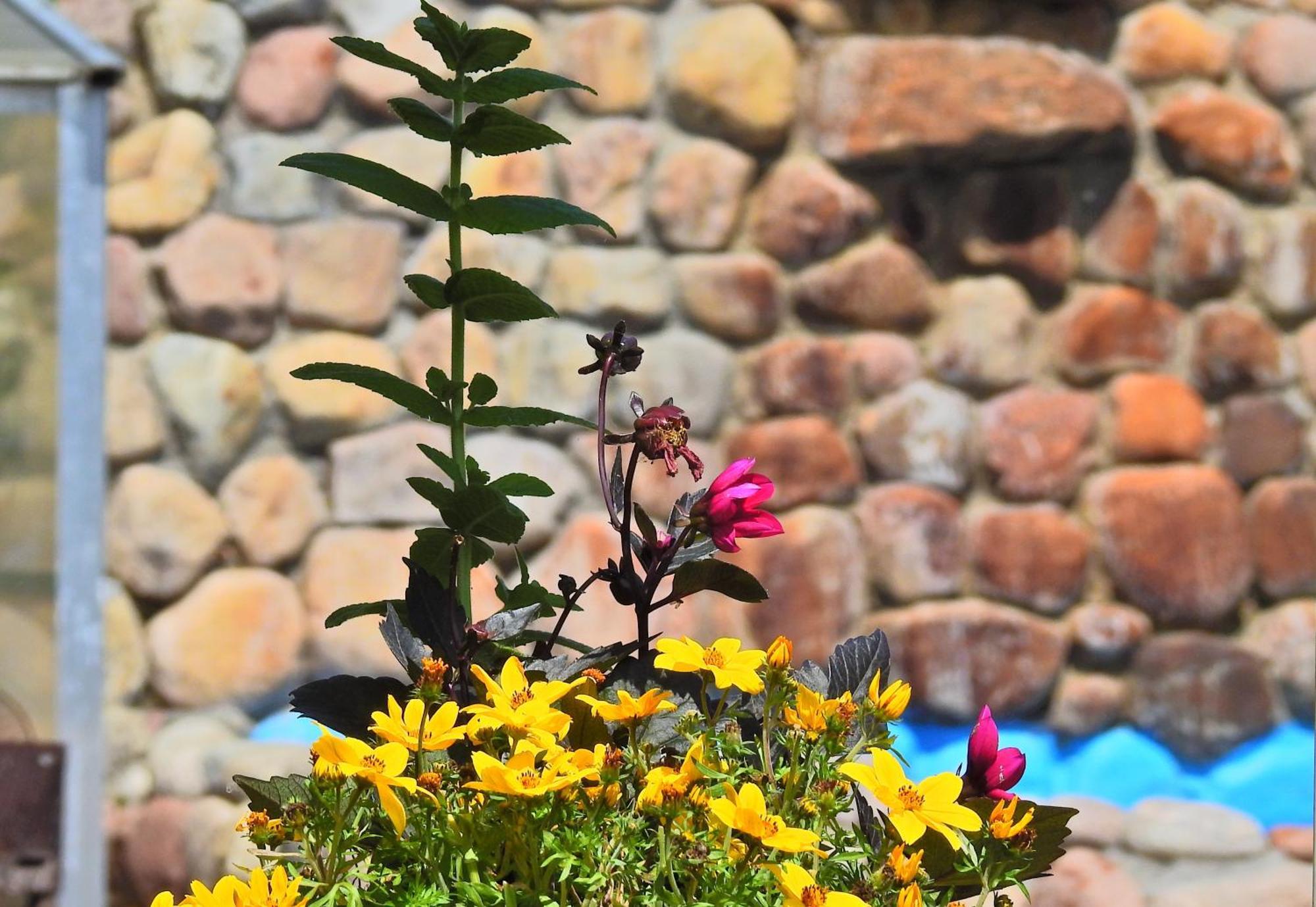 Stanica Przygody Villa Sztutowo Dış mekan fotoğraf